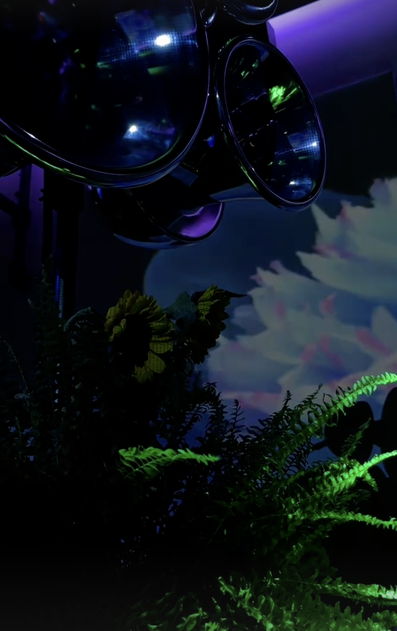 Phygital garden of Eden
